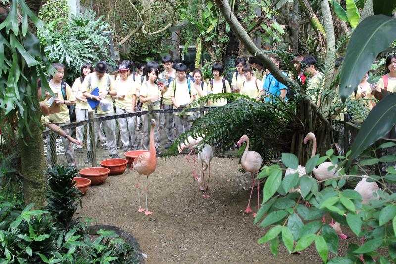 Trip to the Taipei Zoo